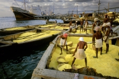 © Enzo Ragazzini INDIA -COCHIN PORTO- TRASPORTO ZOLFO. -da TROPICI PRIMA DEL MOTORE